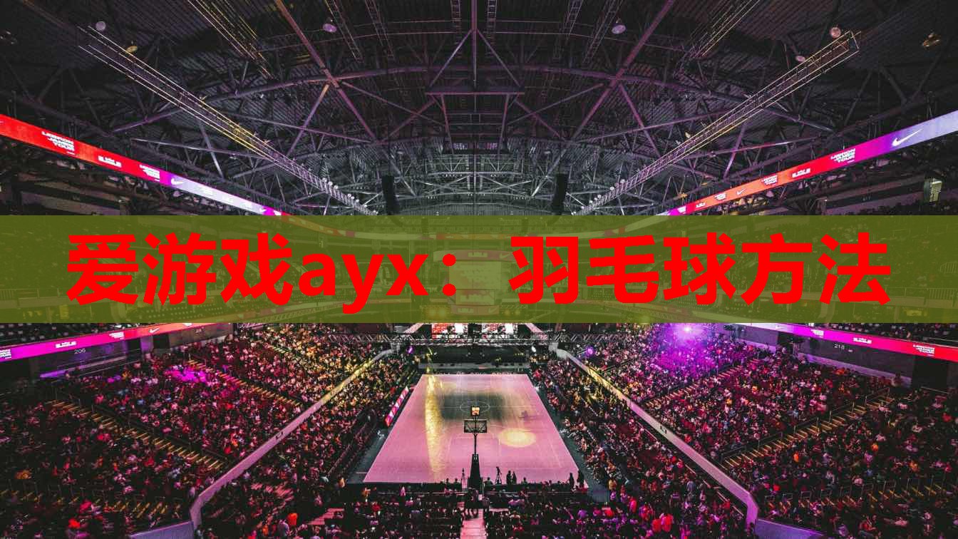羽毛球方法 羽毛球方法