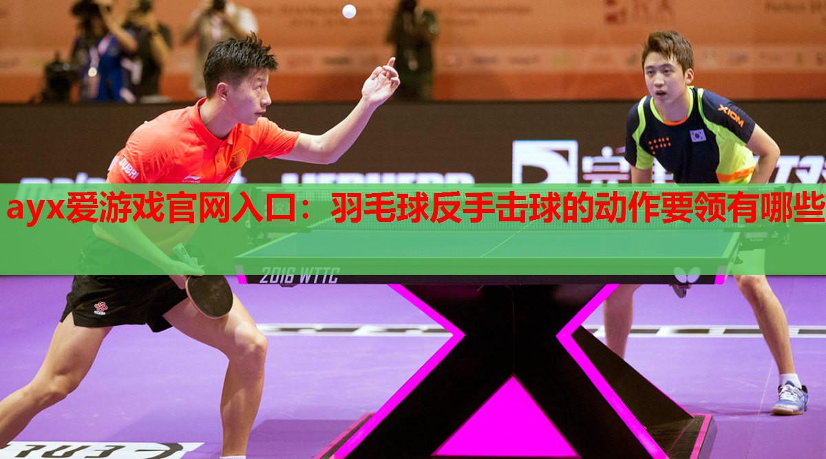 羽毛球反手击球的动作要领有哪些 羽毛球反手击球的动作要领有哪些