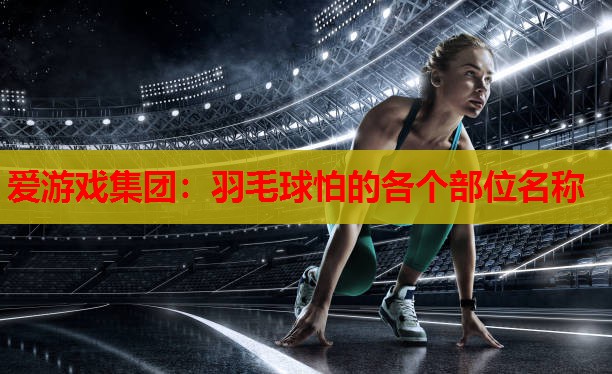 羽毛球怕的各个部位名称 羽毛球怕的各个部位名称