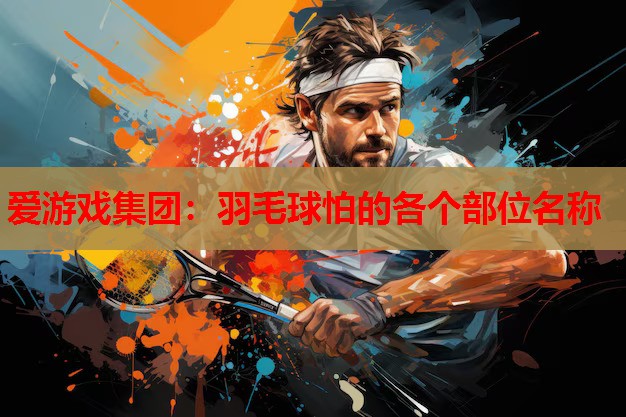 羽毛球怕的各个部位名称 羽毛球怕的各个部位名称