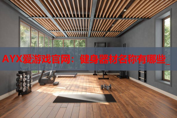 健身器材名称有哪些_ 健身器材名称有哪些_